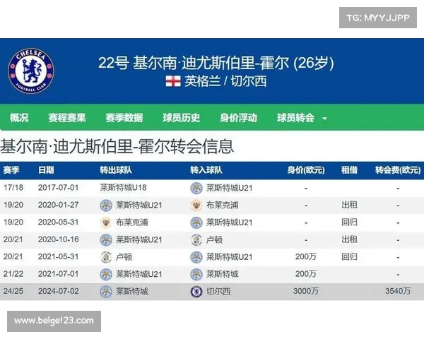 埃弗顿正式向切尔西提交报价欲签霍尔 引发转会热议 埃弗顿正式向切尔西提交报价欲签霍尔 引发转会热议