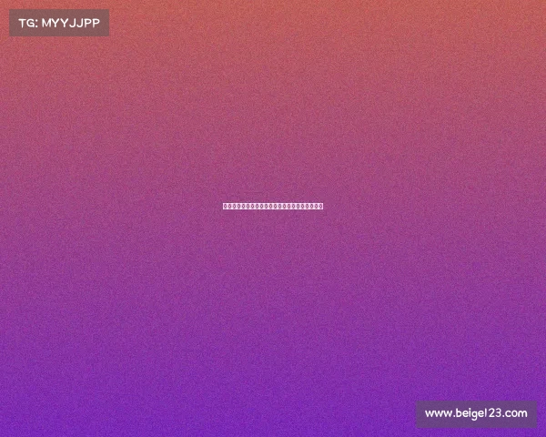 维萨预计将于周二回归布伦特福德训练并恢复备战